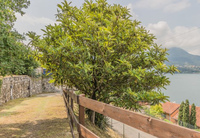 Appartamento a Varenna - Villa Lisander Varenna Appartamento a Varenna - Villa Lisander Varenna