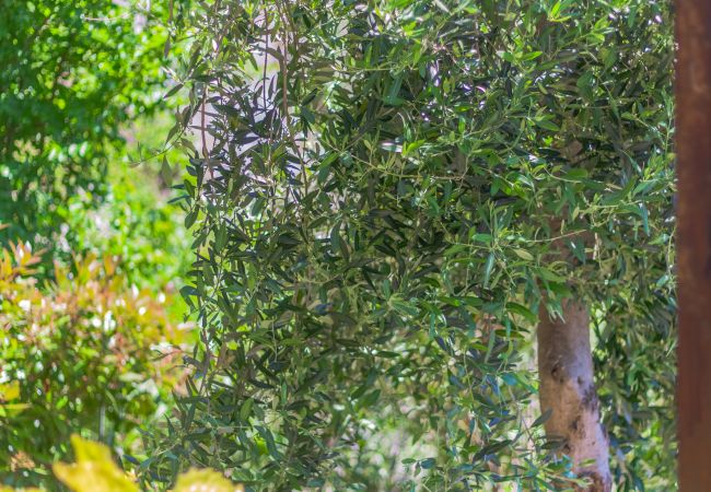 Appartamento a Perledo - Golden View Apartment Appartamento a Perledo - Golden View Apartment