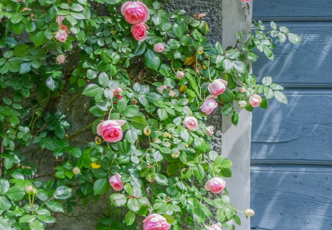 Casa a Lierna - Green Garden House Casa a Lierna - Green Garden House