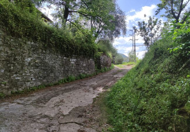 Villa a Varenna - Villa Bianca Lierna Villa a Varenna - Villa Bianca Lierna