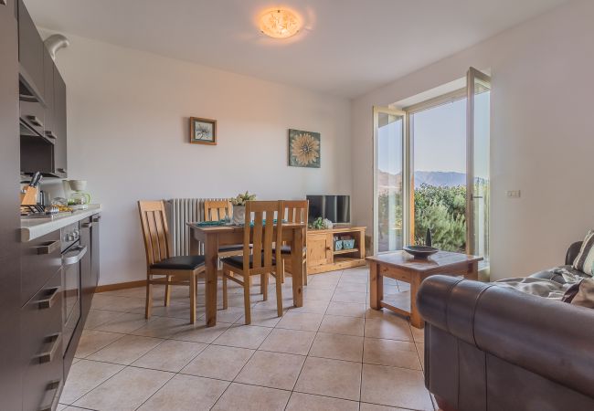 Apartment in Perledo - Palma Romantic Dream Apartment in Perledo - Palma Romantic Dream