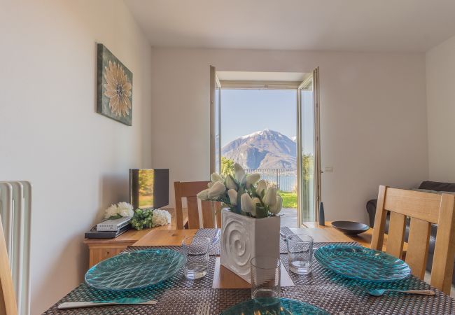 Apartment in Perledo - Palma Romantic Dream Apartment in Perledo - Palma Romantic Dream