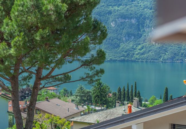 Apartment in Lierna - Magic Lake View Apartment in Lierna - Magic Lake View