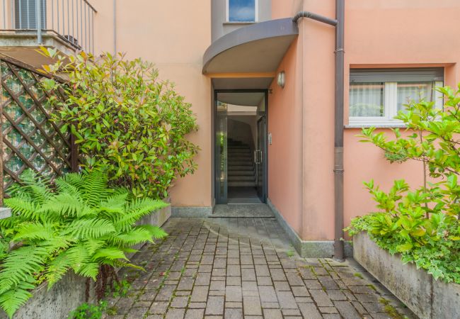 Apartment in Mandello del Lario - Sunflowers Home Apartment in Mandello del Lario - Sunflowers Home